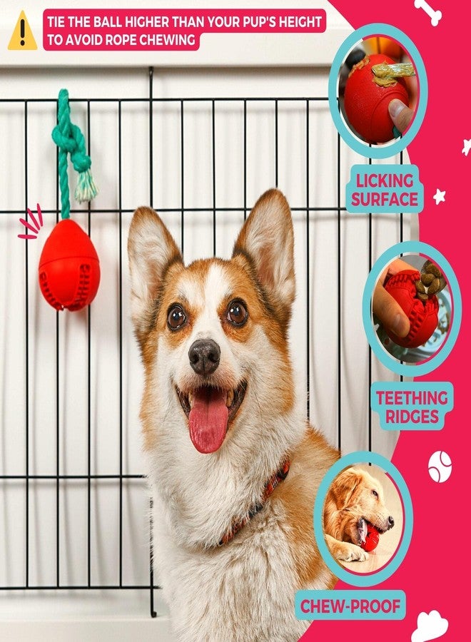 Fossa Interactive Dog Toys, Crate Training Aids for Puppies, Puzzle Treat Dispenser with Rope, Multifunctional Dog Toys - for Reduce Dog Boredom and Anxiety, Dog Teeth Cleaning and Chew Toy - Image 3